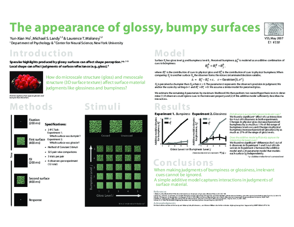 (PDF) The appearance of glossy, bumpy surfaces
