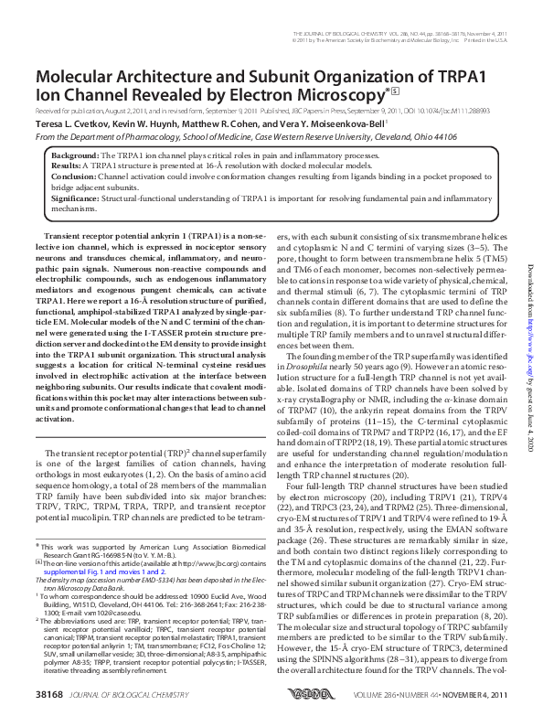 (PDF) Molecular Architecture and Subunit Organization of TRPA1 Ion ...