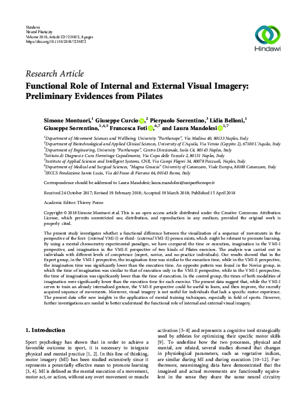 (PDF) Functional Role of Internal and External Visual Imagery