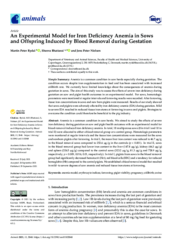 Thesis experimental model image