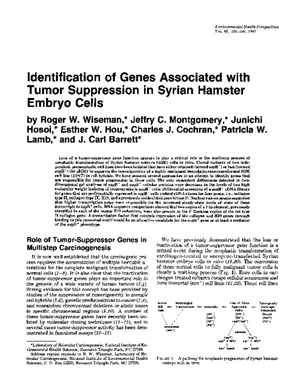 (PDF) Identification of genes associated with tumorigenesis and ...