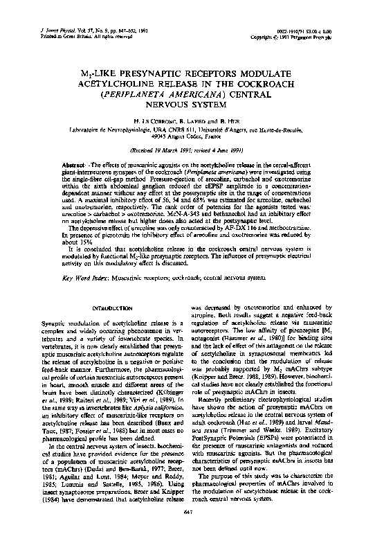 5 characteristics of cockroach picture