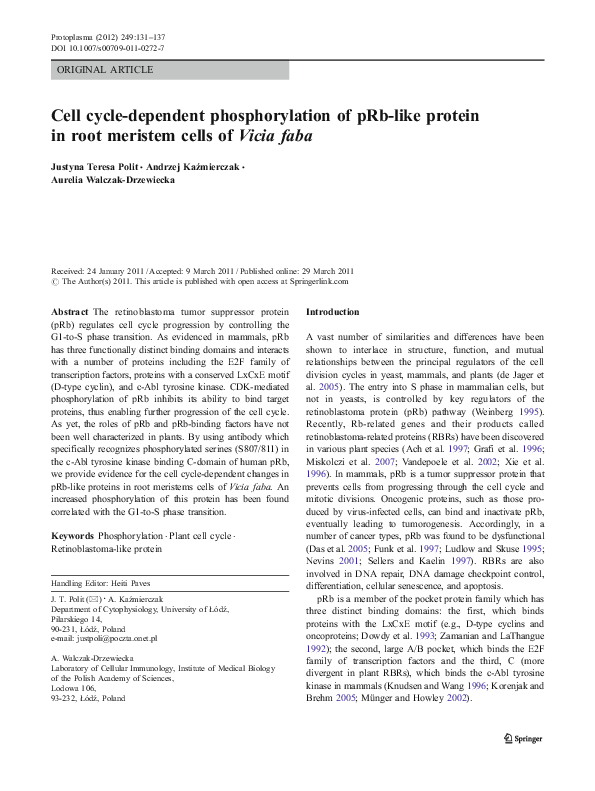 (PDF) Cell cycle-dependent phosphorylation of pRb-like protein in root ...