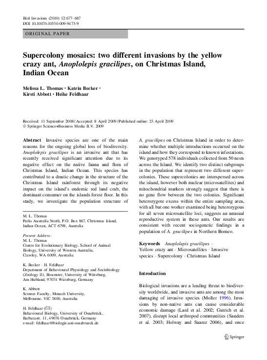 Two essays on art photography and semiotics 06 image