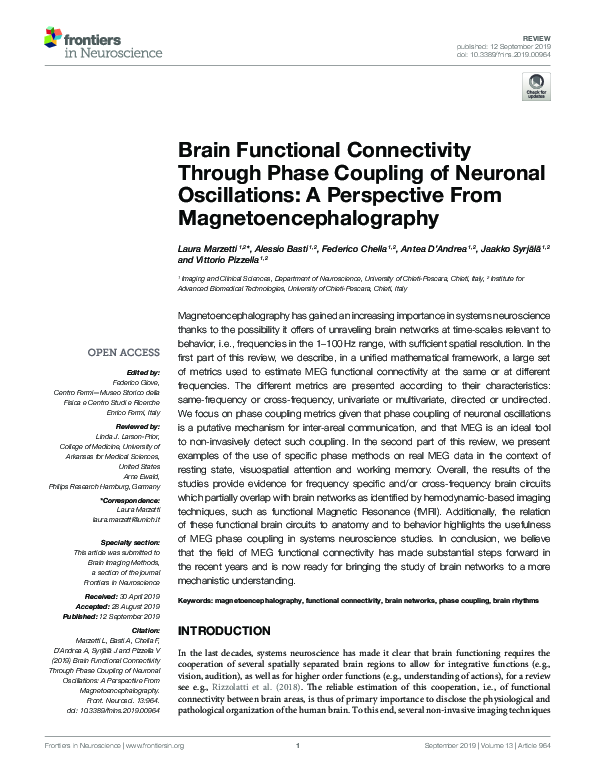 (PDF) Brain Functional Connectivity Through Phase Coupling of Neuronal ...
