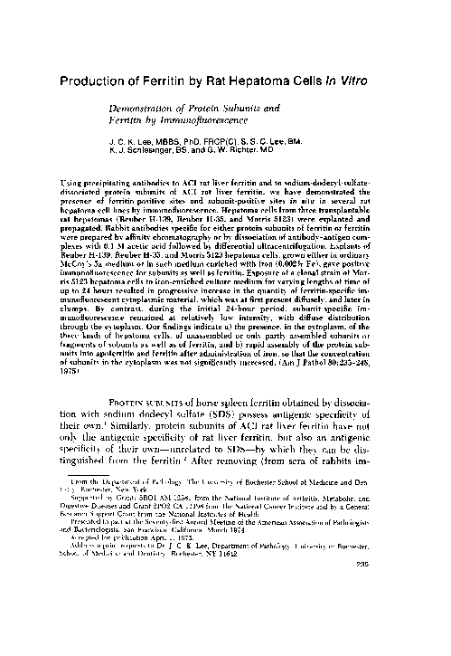 (PDF) Production of ferritin by rat hepatoma cells in vitro ...