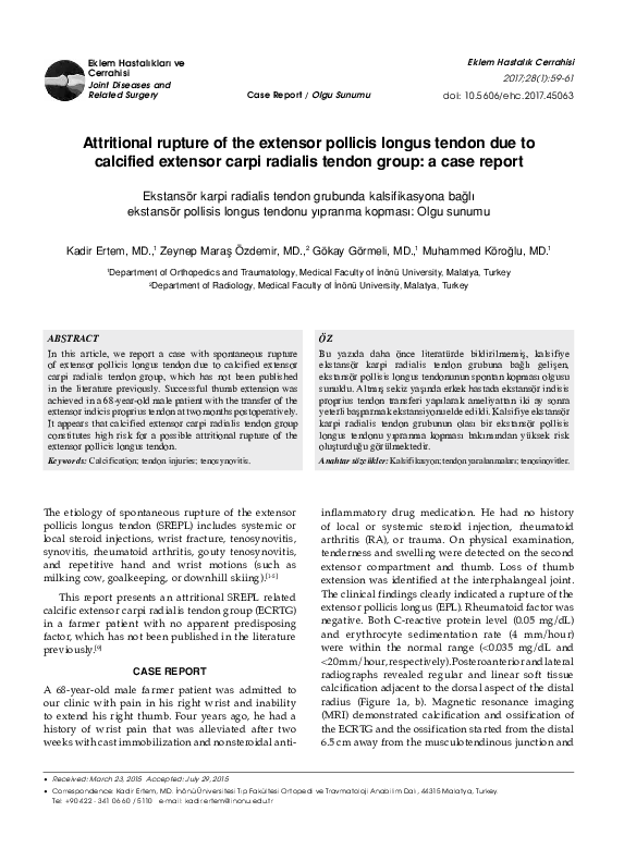 (PDF) Attritional rupture of the extensor pollicis longus tendon due to ...