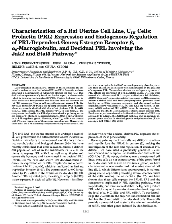 (PDF) Characterization of a Rat Uterine Cell Line, U III Cells ...