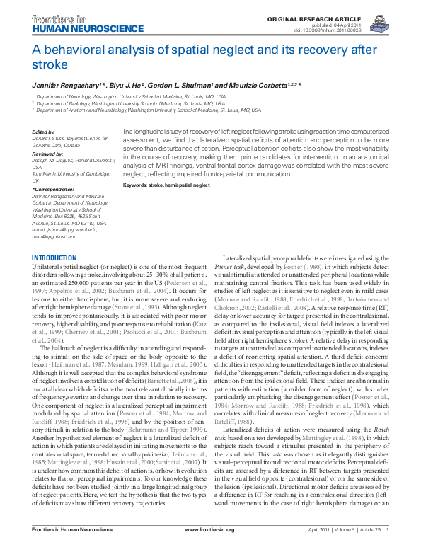 (PDF) A Behavioral Analysis of Spatial Neglect and its Recovery After ...