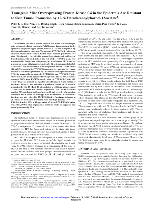 Transgenic animals wikipedia image