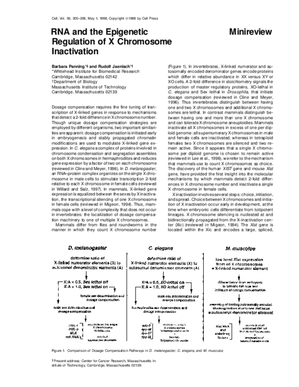 (PDF) RNA and the Epigenetic Regulation of X Chromosome Inactivation