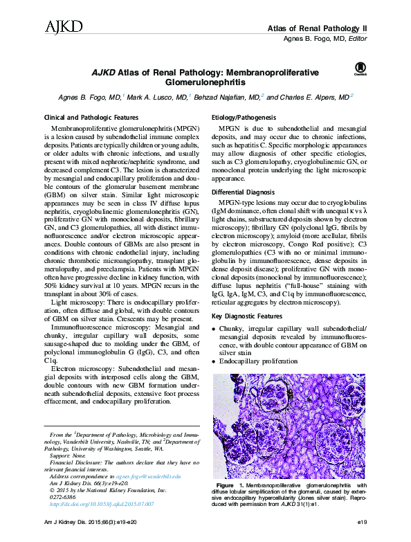 (PDF) AJKD Atlas of Renal Pathology: Membranoproliferative ...