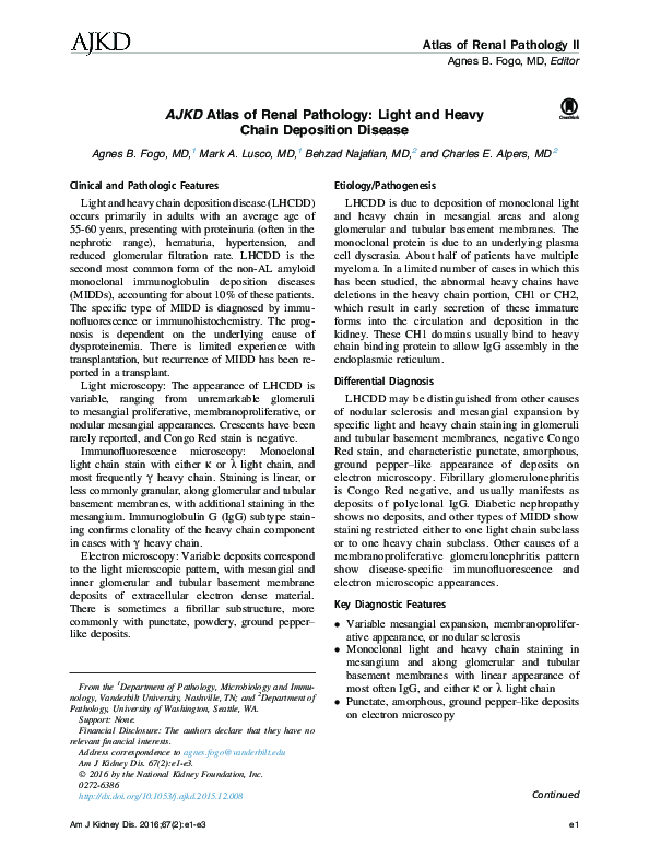 (PDF) AJKD Atlas of Renal Pathology: Light and Heavy Chain Deposition ...
