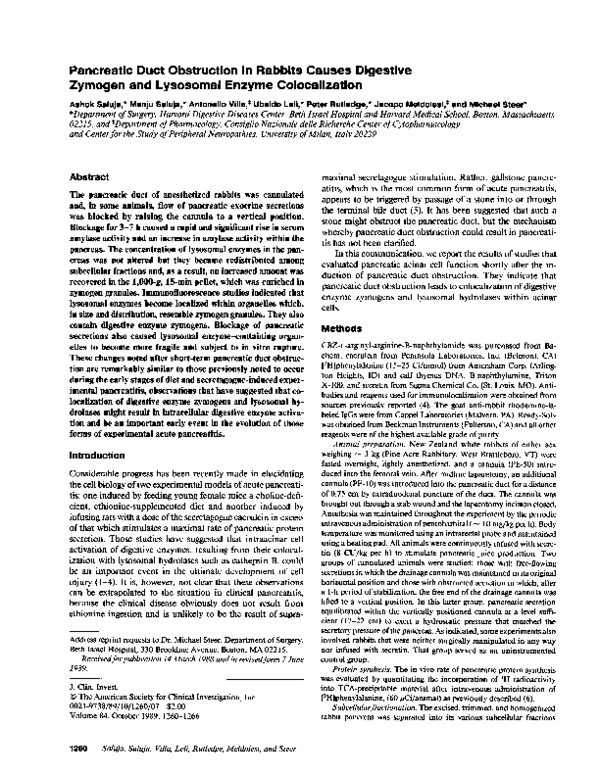 (PDF) Pancreatic duct obstruction in rabbits causes digestive zymogen