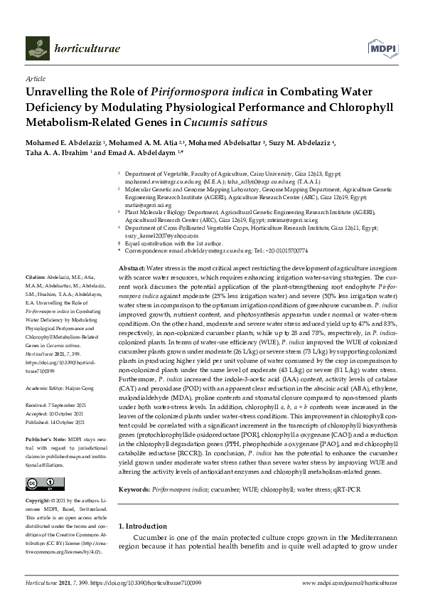 Water scarcity essay in 100 words picture