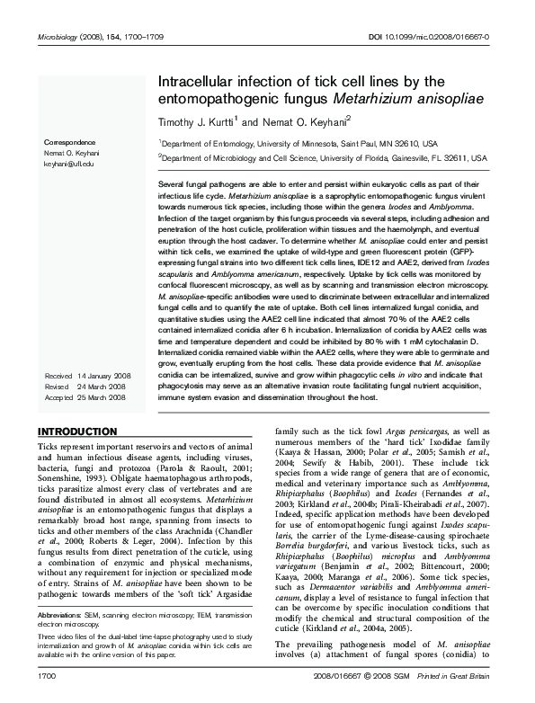 (PDF) Intracellular infection of tick cell lines by the ...