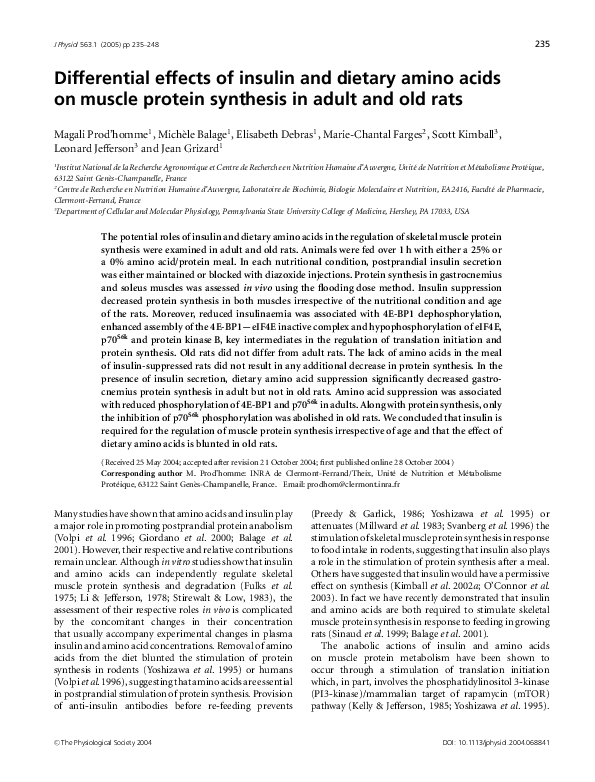 (PDF) Differential effects of insulin and dietary amino acids on muscle ...