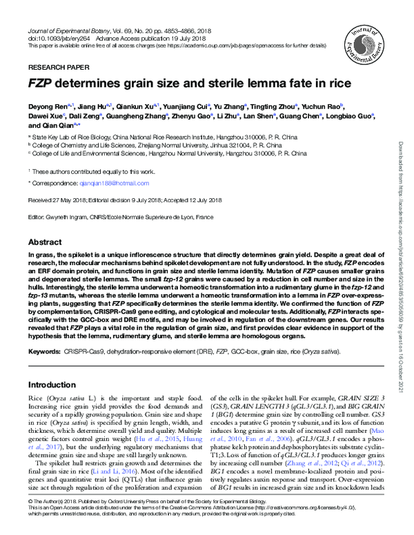 (PDF) FZP determines grain size and sterile lemma fate in rice