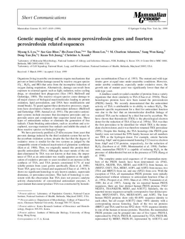 Genetic mapping of six mouse peroxiredoxin genes and fourteen peroxiredoxin related sequences