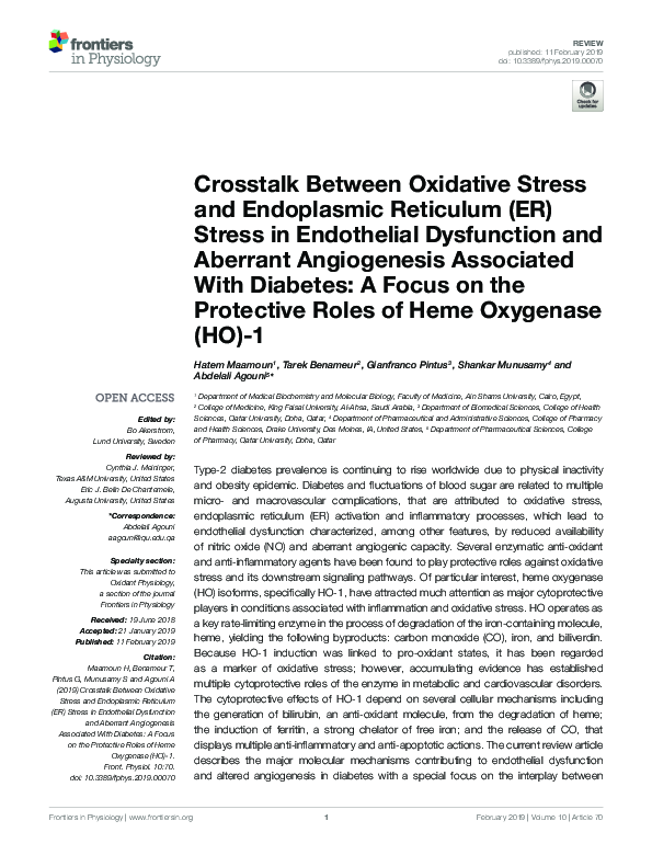 (PDF) Crosstalk Between Oxidative Stress and Endoplasmic Reticulum (ER ...
