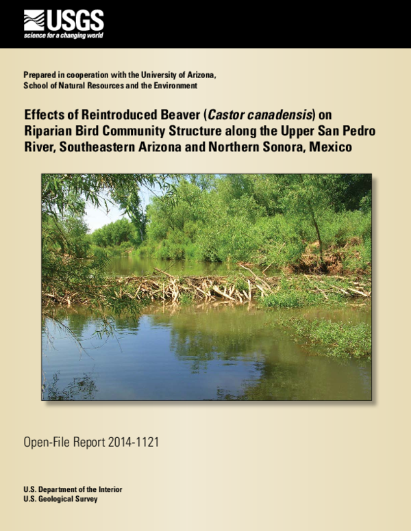 (PDF) Effects of reintroduced beaver ( Castor canadensis ) on riparian ...