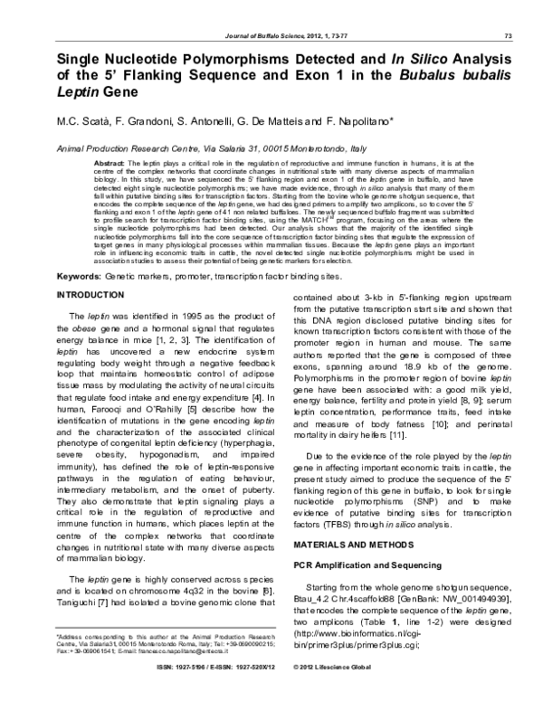 (PDF) Single Nucleotide Polymorphisms Detected and In Silico Analysis ...