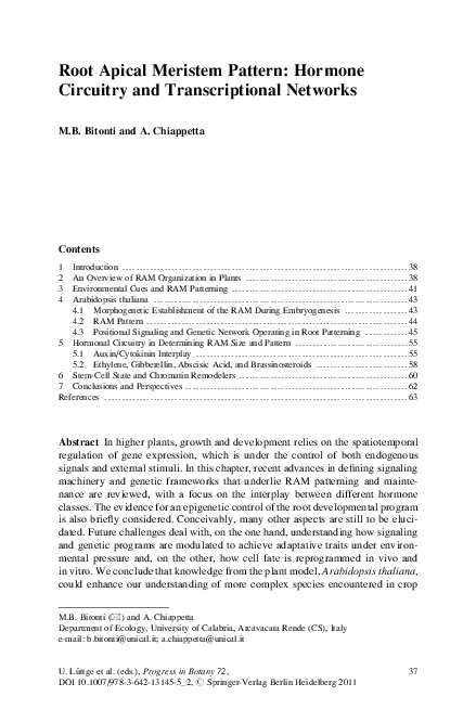 (PDF) Root Apical Meristem Pattern: Hormone Circuitry and ...