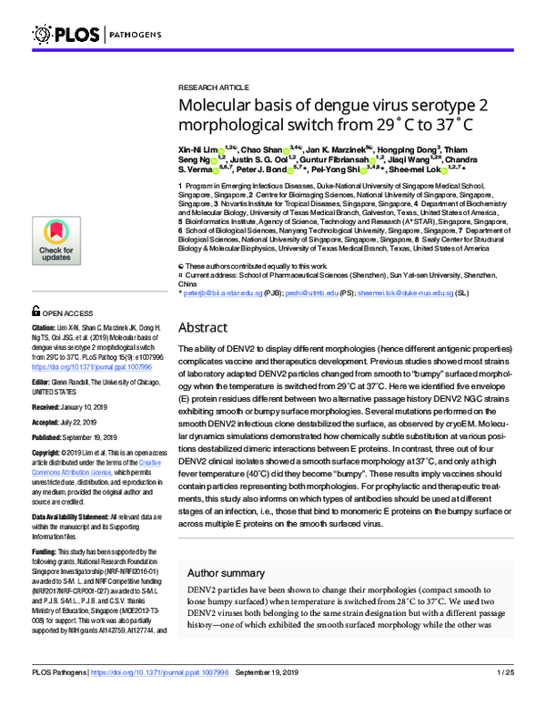 (PDF) Molecular basis of dengue virus serotype 2 morphological switch ...
