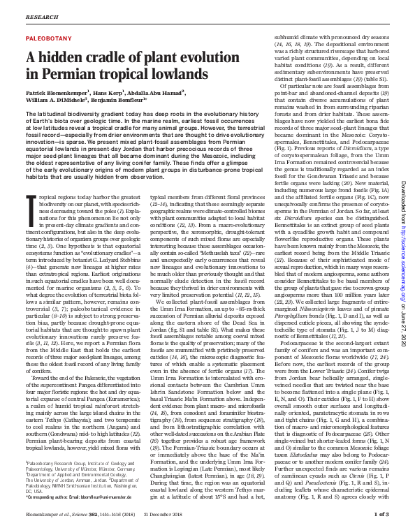 (PDF) A hidden cradle of plant evolution in Permian tropical lowlands
