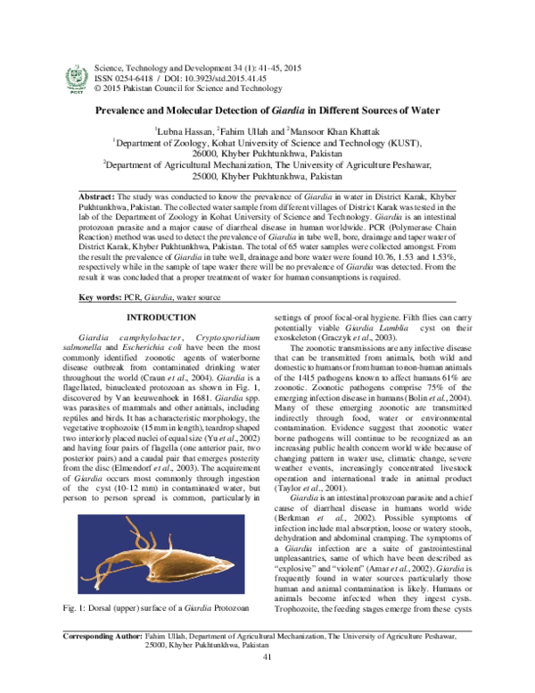 (PDF) Prevalence and Molecular Detection of Giardia Spp in Different ...