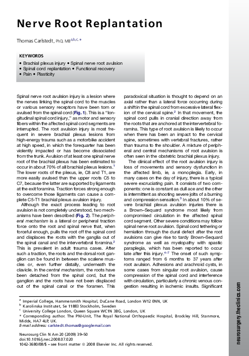 (PDF) Nerve Root Replantation