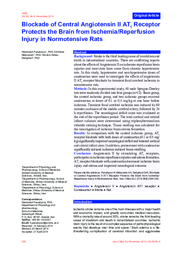 (PDF) Blockade of Central Angiotensin II AT1 Receptor Protects the ...