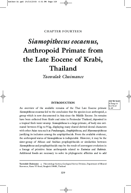 (PDF) Siamopithecus eocaenus, Anthropoid Primate from the Late Eocene ...