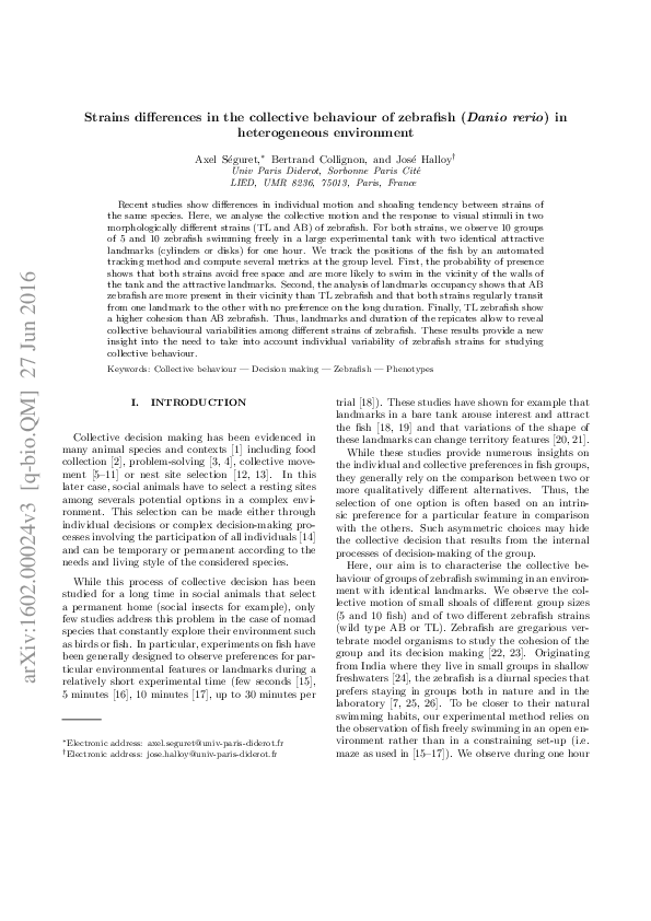 (PDF) Strain differences in the collective behaviour of zebrafish ...