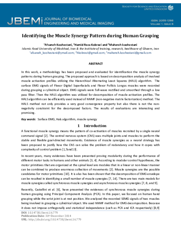 (PDF) Identifying the muscle synergy pattern during human grasping