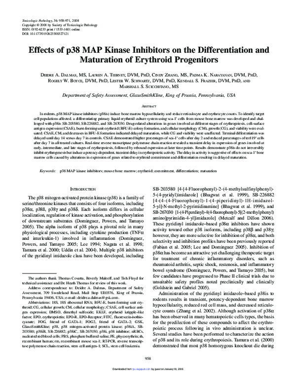(PDF) Effects of p38 MAP kinase inhibitors on the differentiation and ...