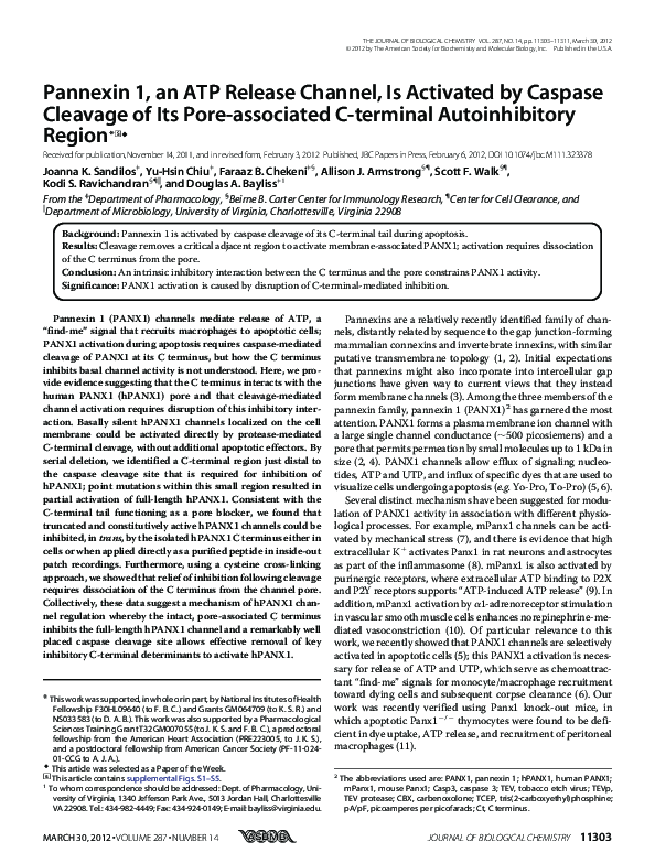 (PDF) Faculty of 1000 evaluation for Pannexin 1, an ATP release channel ...