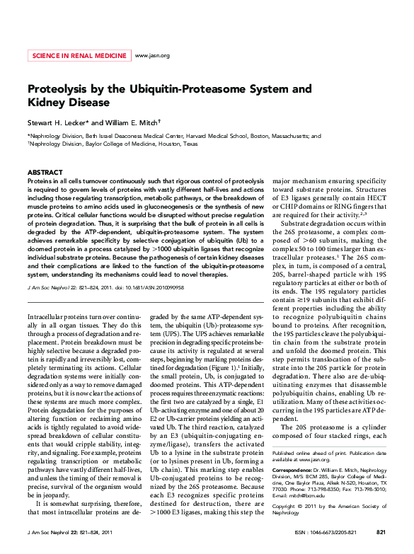 (PDF) Proteolysis by the Ubiquitin-Proteasome System and Kidney Disease