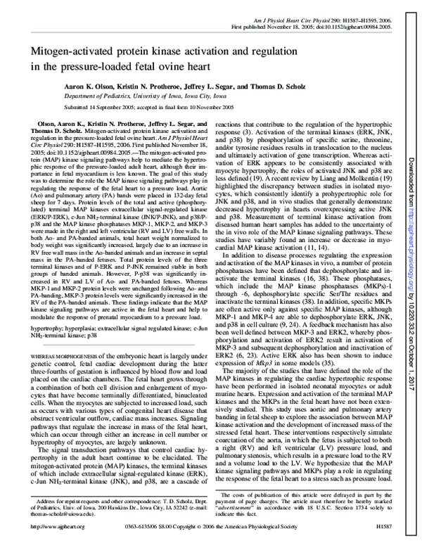 (PDF) Mitogen-activated protein kinase activation and regulation in the ...