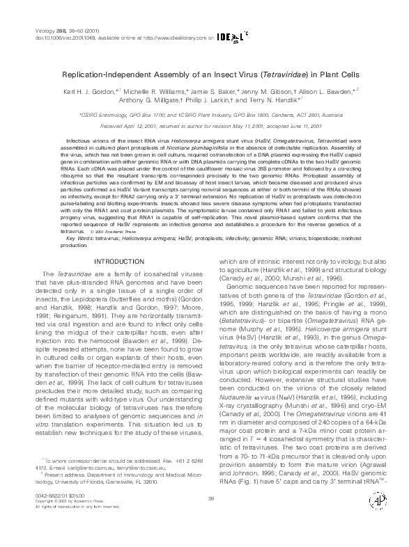 (PDF) Replication-Independent Assembly of an Insect Virus (Tetraviridae ...