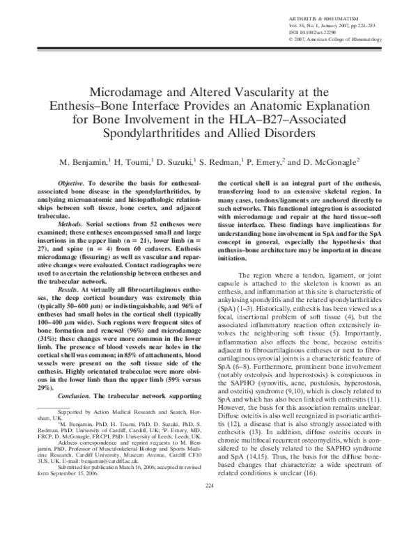 (PDF) Microdamage and altered vascularity at the enthesis–bone ...
