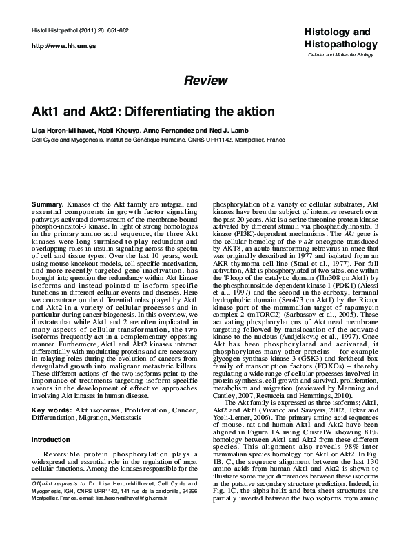 (PDF) Akt1 and Akt2: differentiating the aktion