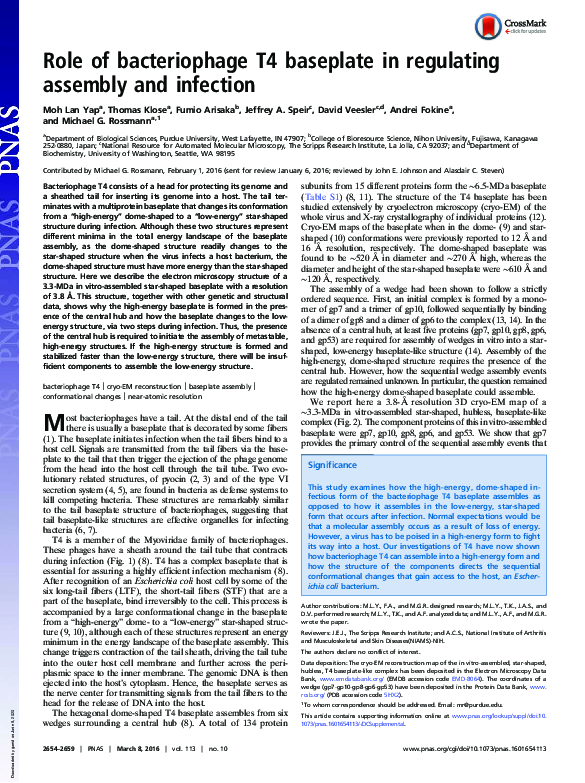 (PDF) Role of bacteriophage T4 baseplate in regulating assembly and ...