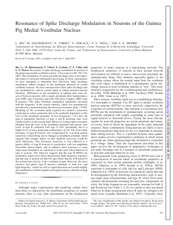 (PDF) Resonance of spike discharge modulation in neurons of the guinea ...
