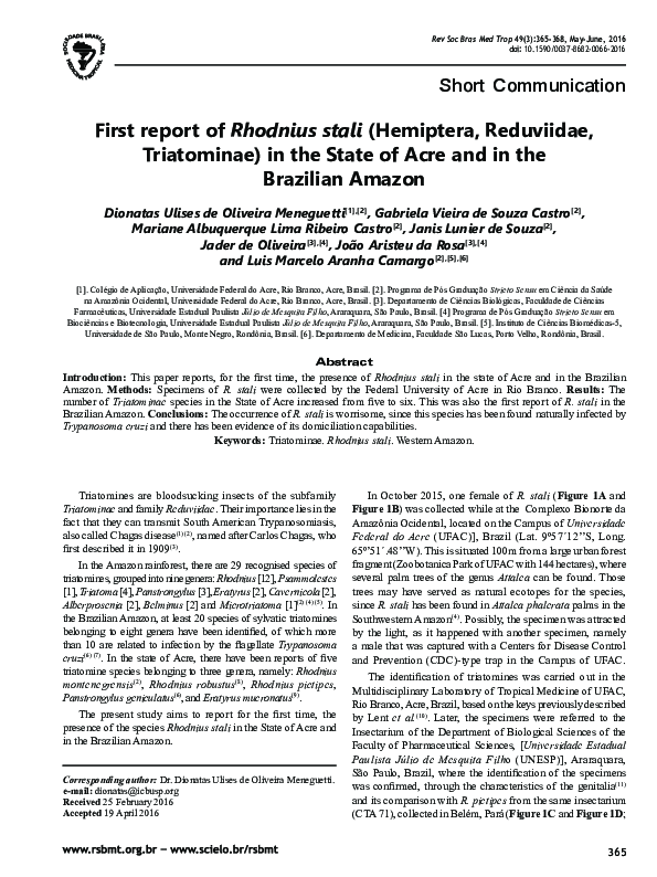 Brazils communication essay picture