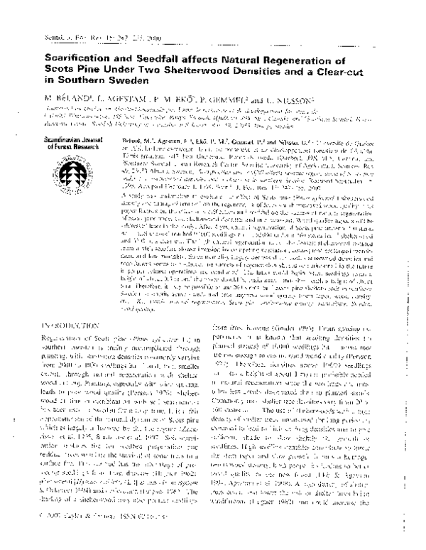 Scarification artists picture