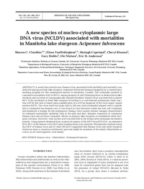(PDF) A new species of nucleo-cytoplasmic large DNA virus (NCLDV ...
