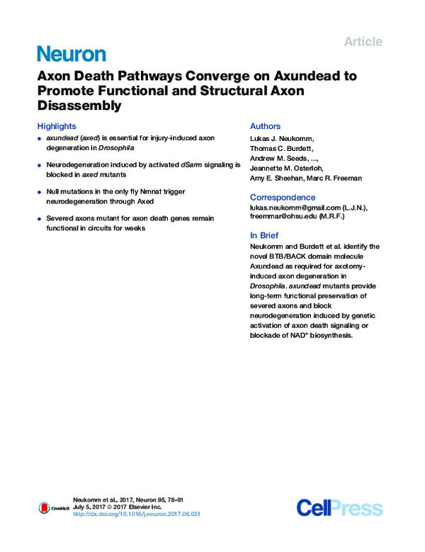 (PDF) Axon Death Pathways Converge on Axundead to Promote Functional ...