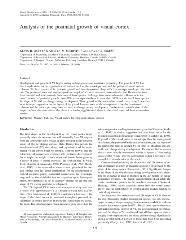 (PDF) Analysis of the postnatal growth of visual cortex
