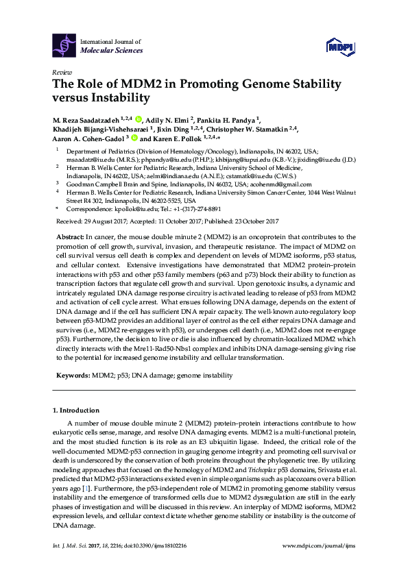 (PDF) The Role of MDM2 in Promoting Genome Stability versus Instability